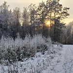 Przy Lesie * Lakie (Zlotow)