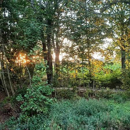 Przy Lesie Дом отдыха Lakie (Zlotow)