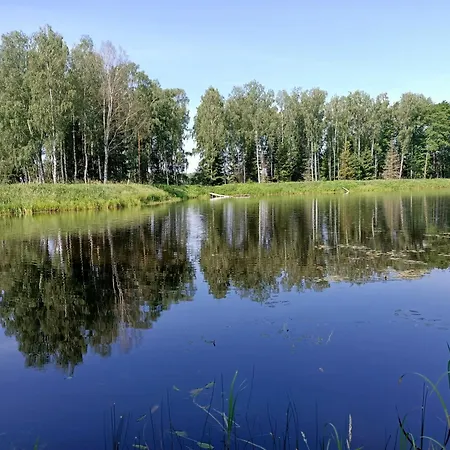 Дом отдыха Przy Lesie Lakie (Zlotow)