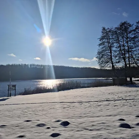 Przy Lesie Дом отдыха *