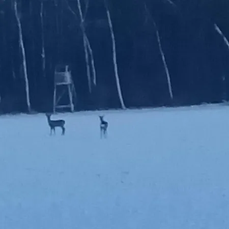 Przy Lesie Дом отдыха *