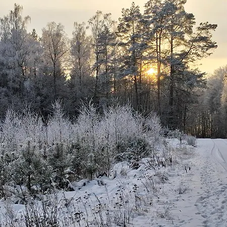 Przy Lesie * Lakie (Zlotow)