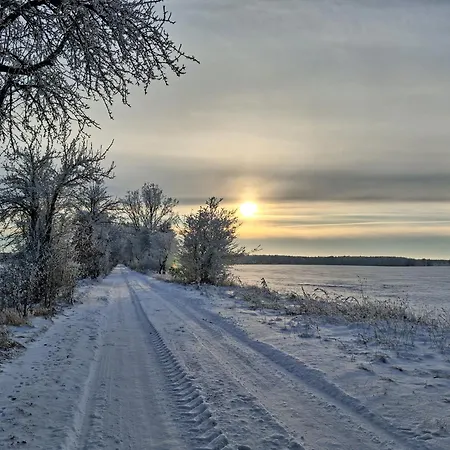 Przy Lesie Дом отдыха *