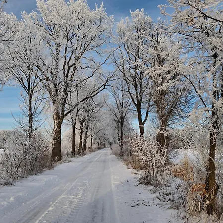 Przy Lesie * Lakie (Zlotow)