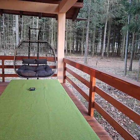 Przy Lesie Holiday home *