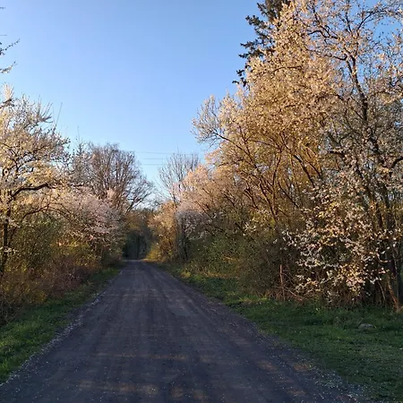 Holiday home Przy Lesie Lakie (Zlotow)