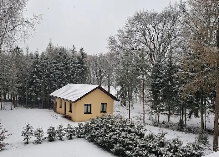 Przy Lesie Holiday home Lakie (Zlotow)
