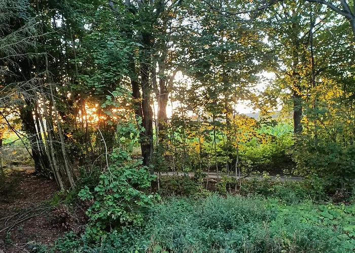 Przy Lesie Tatil Evi Lakie (Zlotow)