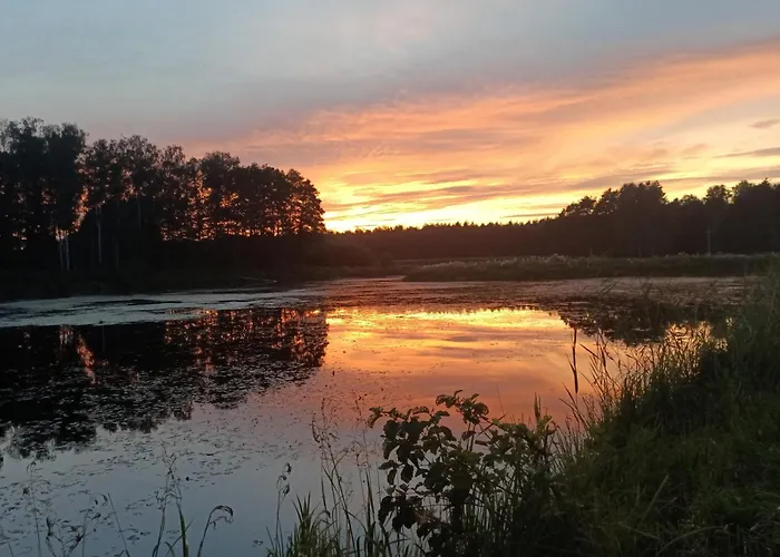 Przy Lesie Lakie (Zlotow)