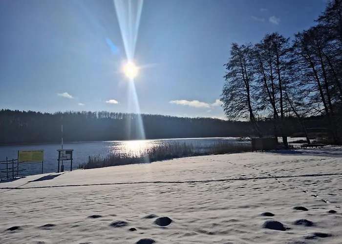 Przy Lesie Dom wakacyjny *