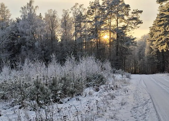 Przy Lesie * Lakie (Zlotow)