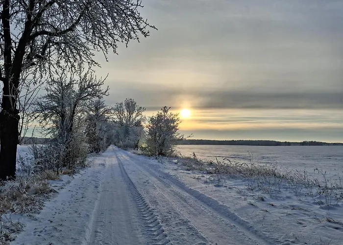 Przy Lesie Holiday home *