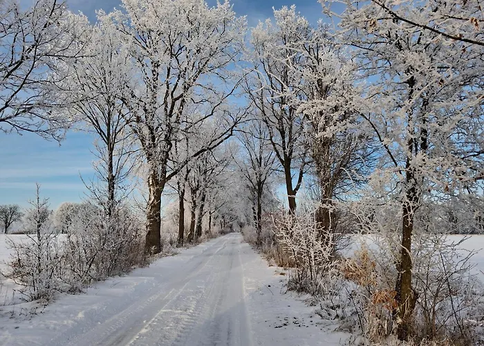 Przy Lesie * Lakie (Zlotow)