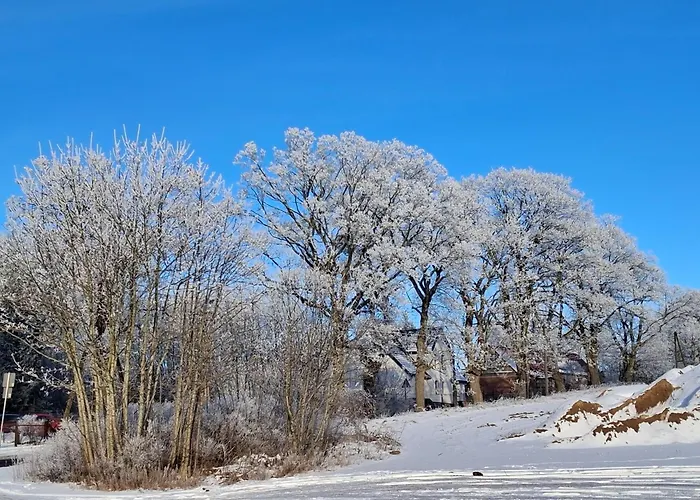 Przy Lesie * Lakie (Zlotow)