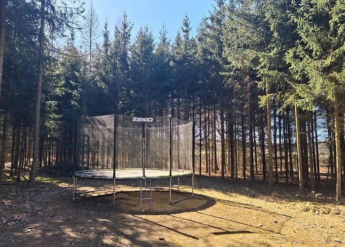 Przy Lesie Holiday home