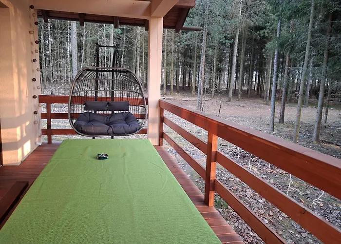 Przy Lesie Holiday home *